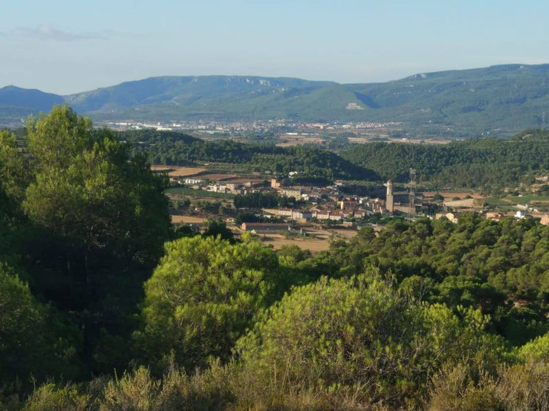 Caminada inaugural de la nova variant del gr®175 al tallat des de blancafort i solivella