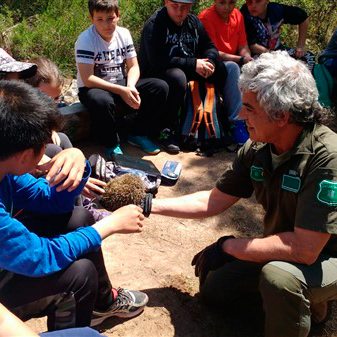 Finalitza el programa educatiu “el bosc i els incendis” del curs 2016 2017