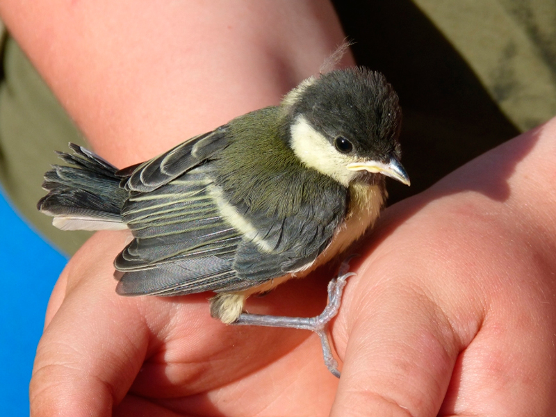 Sessions participatives per a la redacció de la carta del paisatge de la conca de barberà