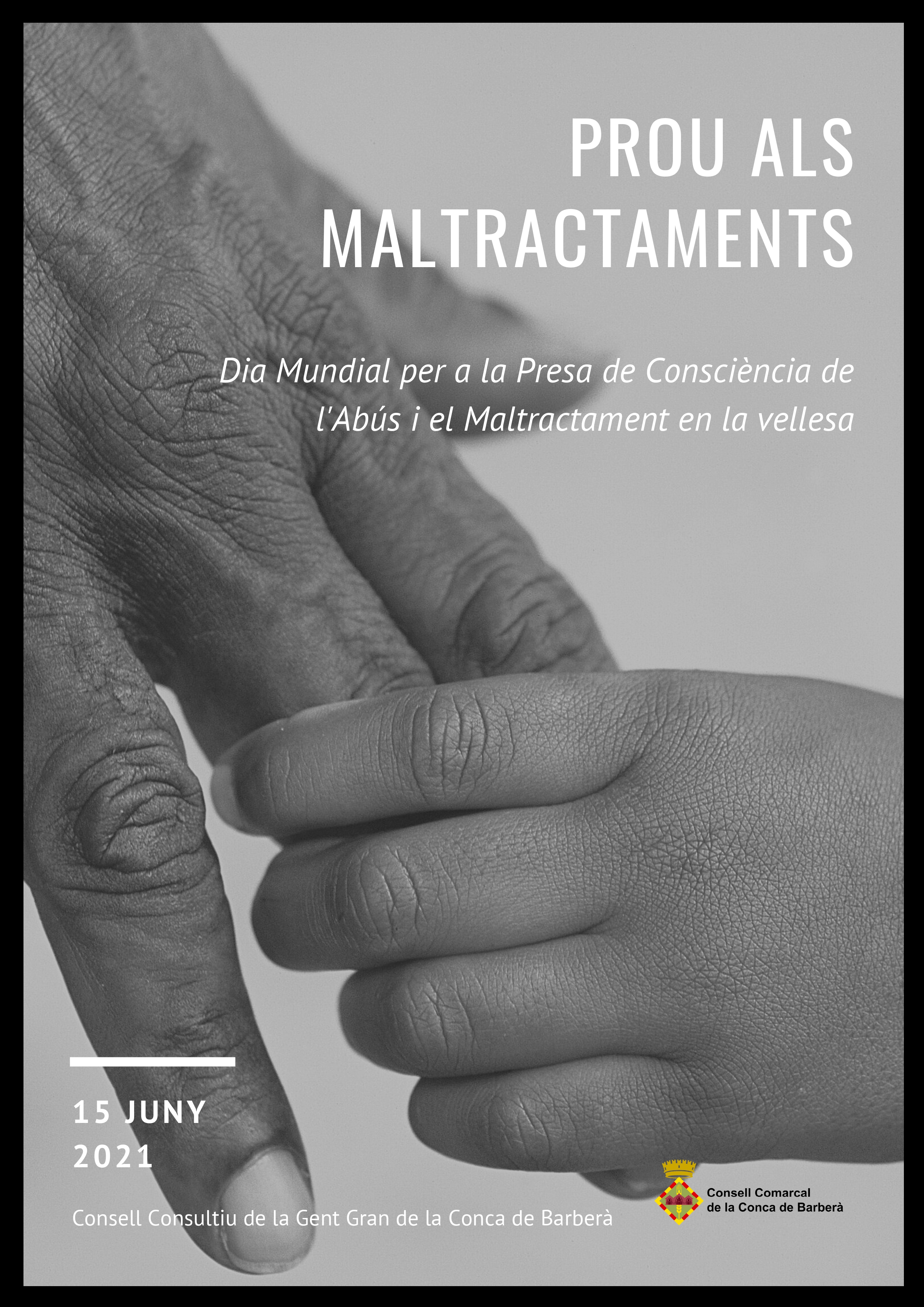 El consell comarcal s’adhereix al dia mundial de la presa de consciència de l’abús i el maltractament en la vellesa