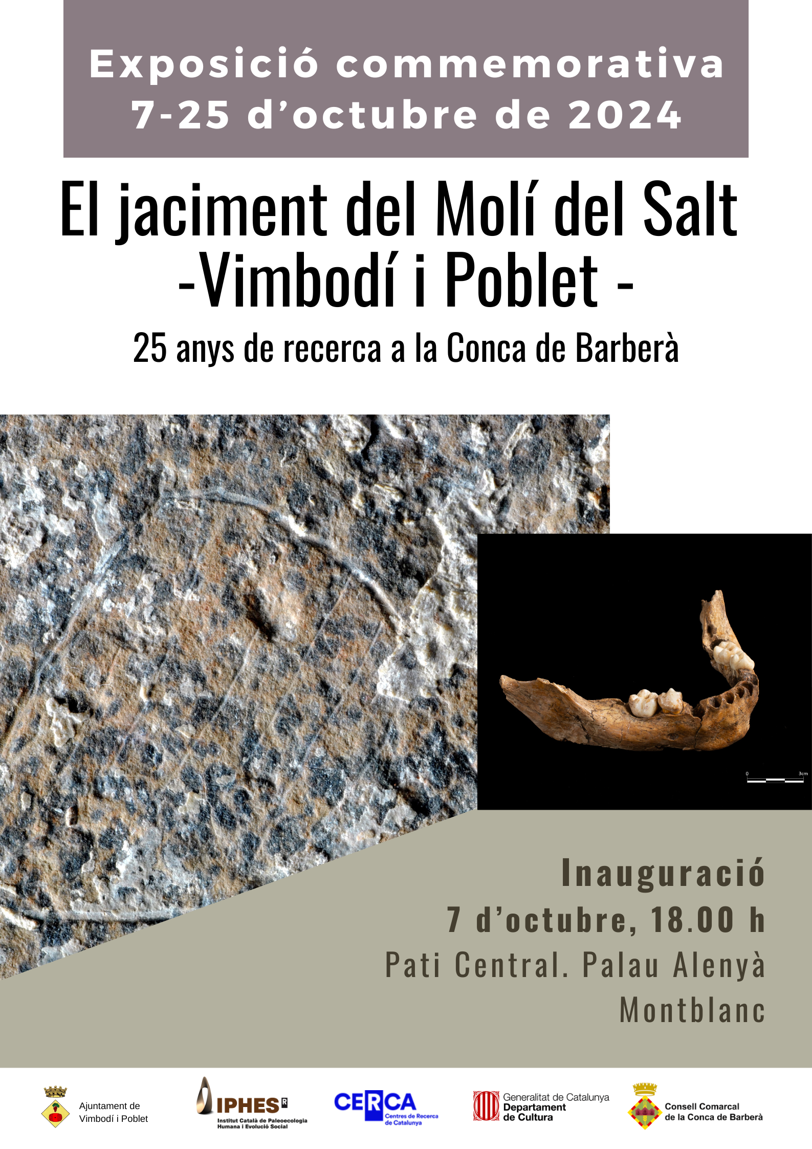 Consell comarcal inaugurarà l’exposició conmemorativa "el jaciment del molí del salt   vimbodí i poblet. 25 anys de recerca a la conca de barberà"