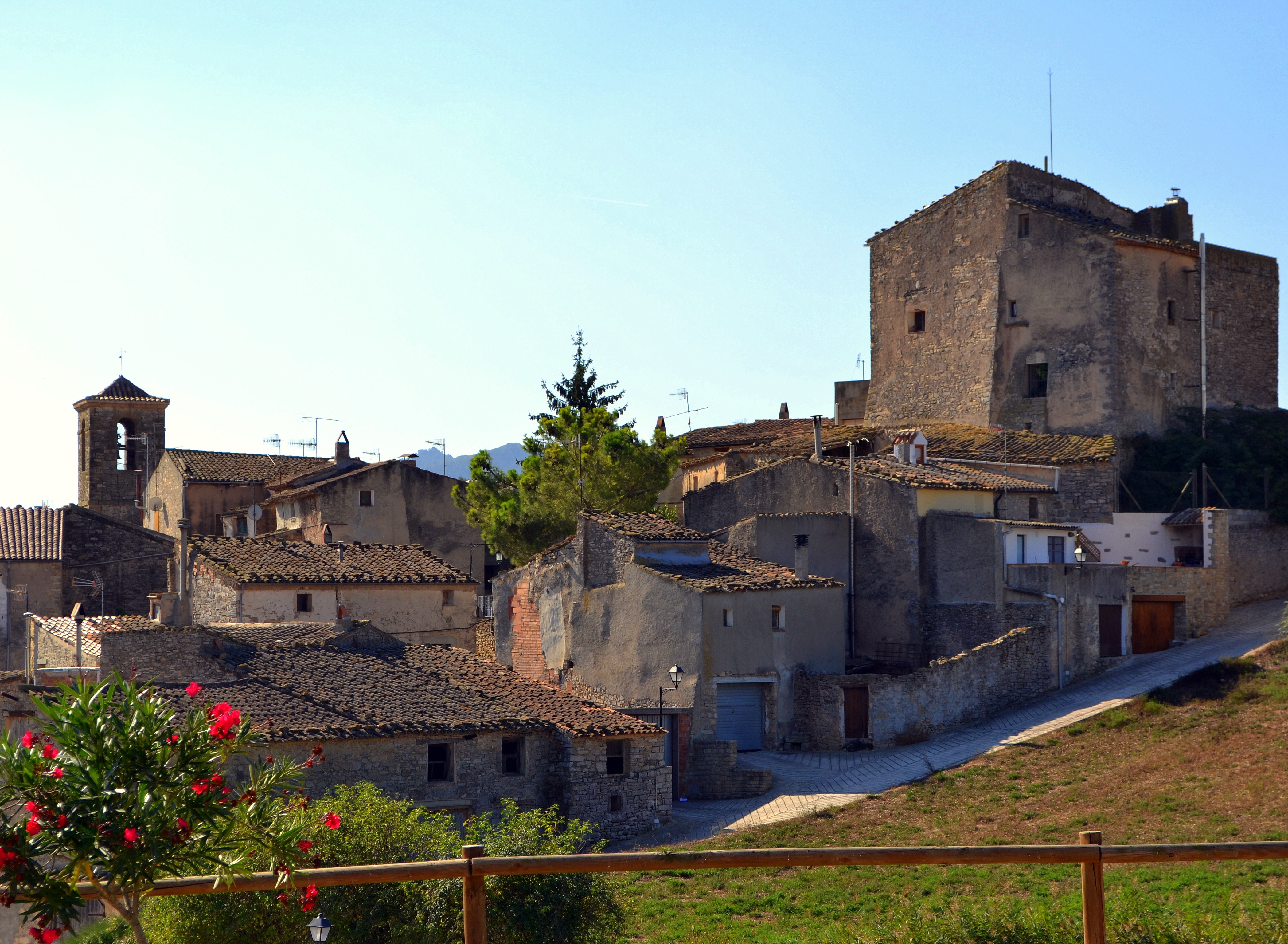Èxit de convocatòria de la visita guiada “les piles, pedra a pedra”