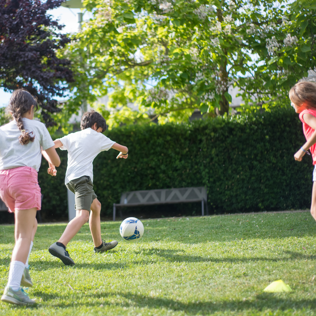 Els serveis socials del consell comarcal han treballat en 251 expedients de risc d’infància durant el 2023