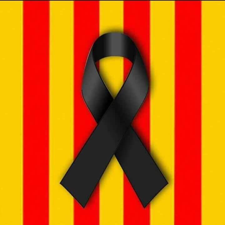 El consell comarcal condemna els atemptats de barcelona i cambrils