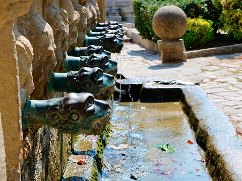 El consell comarcal comarcal dona suport a la creació de la taula del gaià