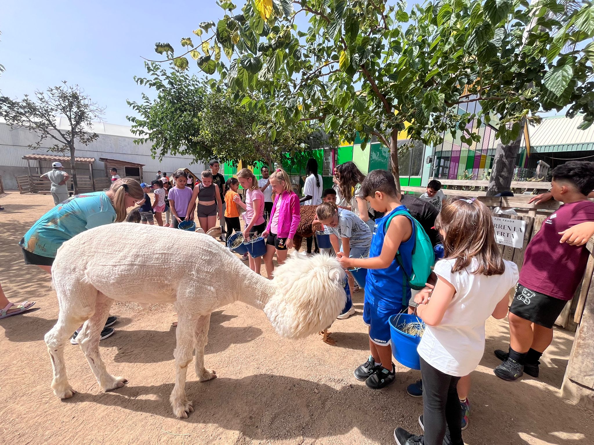 Excursió final de curs del servei d'atenció diürna de montblanc, l'espluga de francolí i santa coloma de queralt