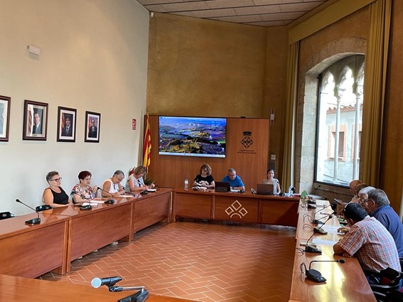 Se celebra la reunió del consell consultiu comarcal de la gent gran a montblanc