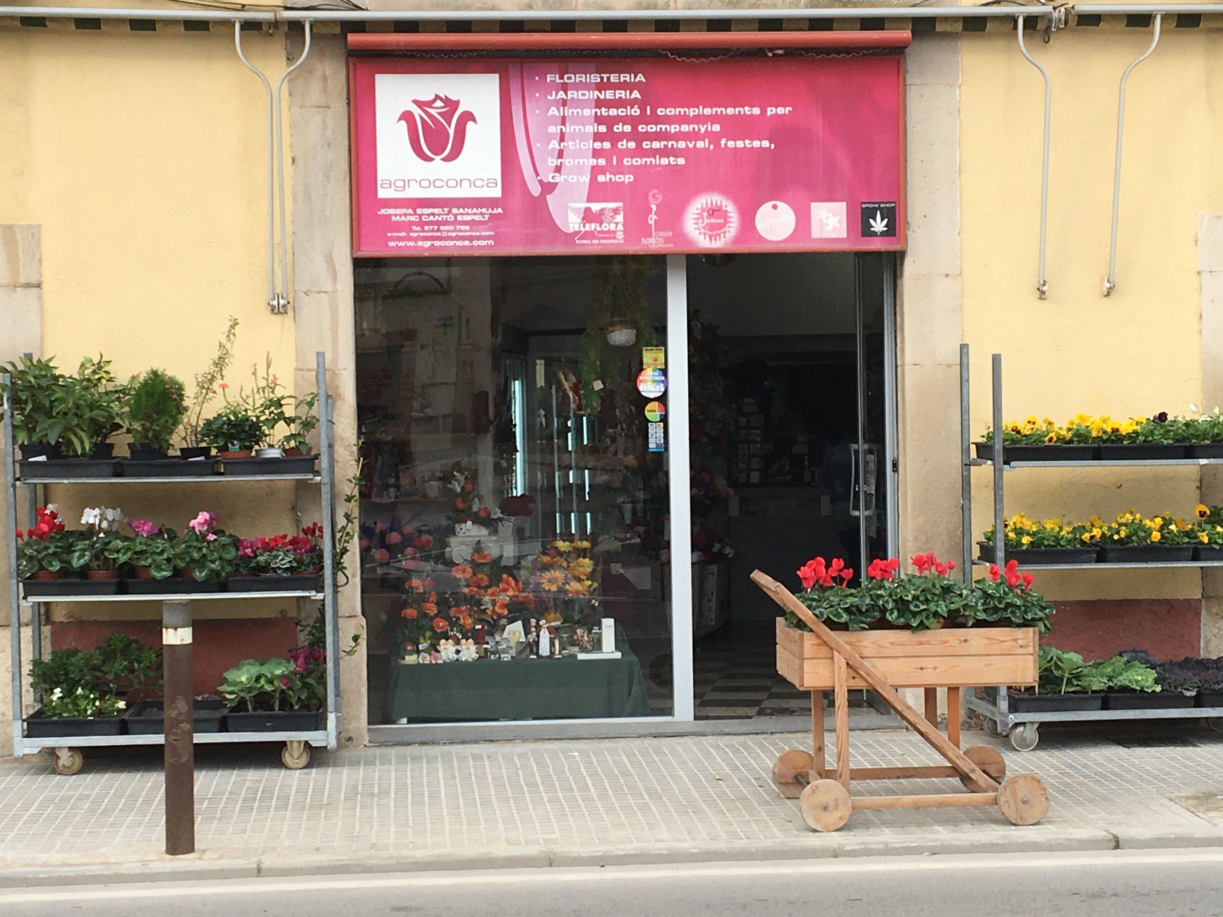 Un nou establiment de montblanc s'adhereix al voluntariat per la llengua