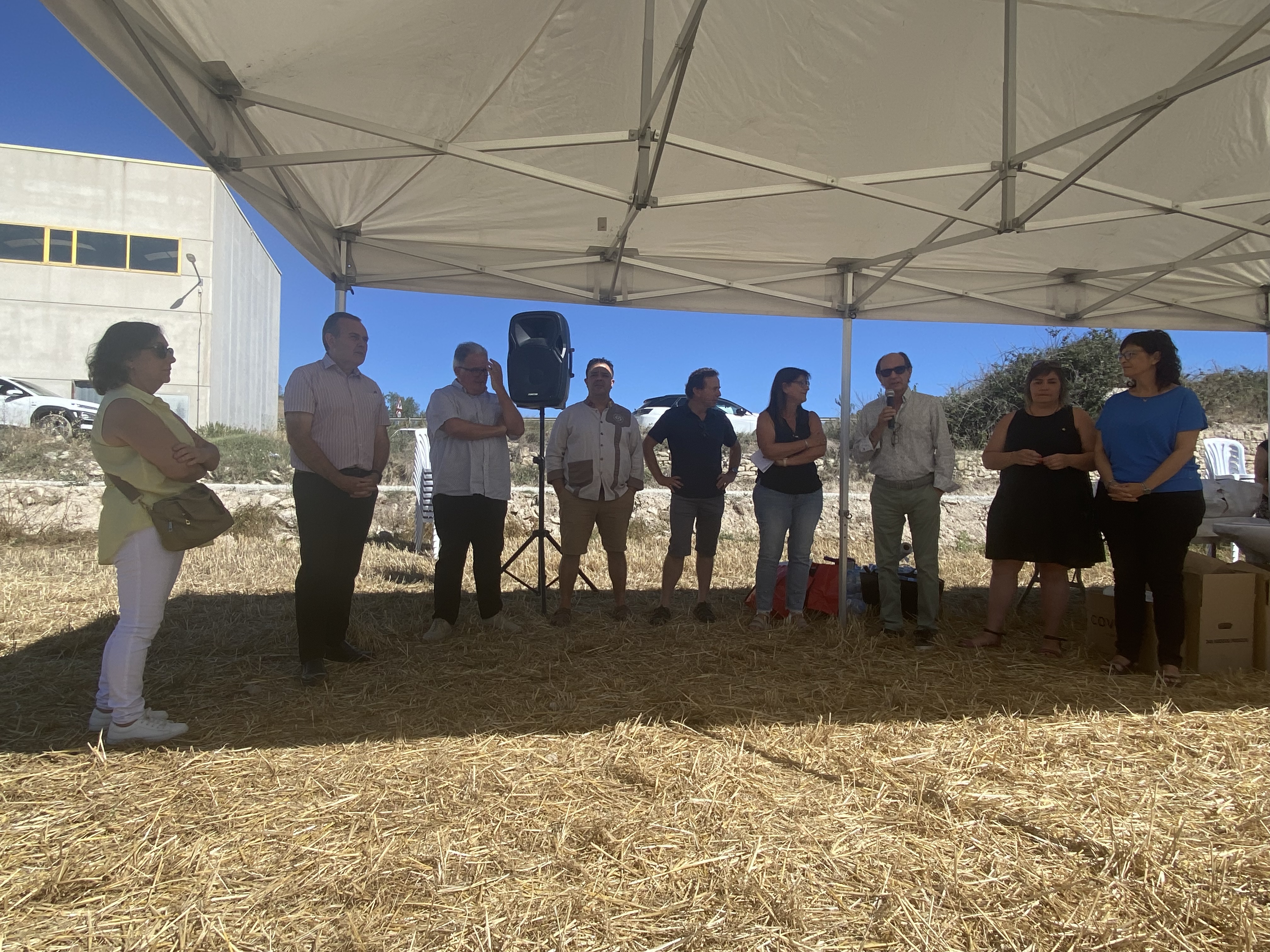 Sega del blat de mestral 2024 a santa coloma de queralt