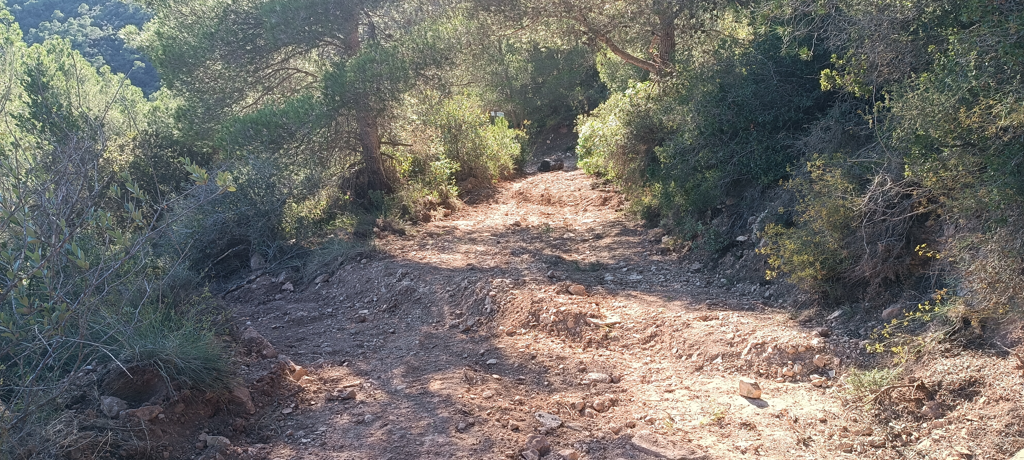 Inici cami des de figuerola img 20240928 172445 1 0