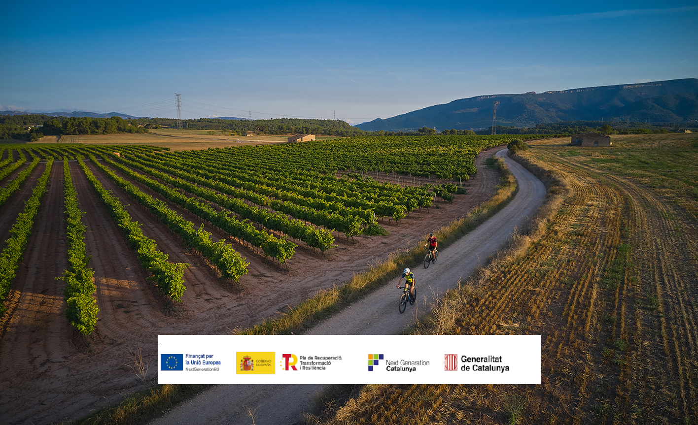 La ruta del cister finalitza el cicle de formacions i prepara l’inici de les mentories personalitzades