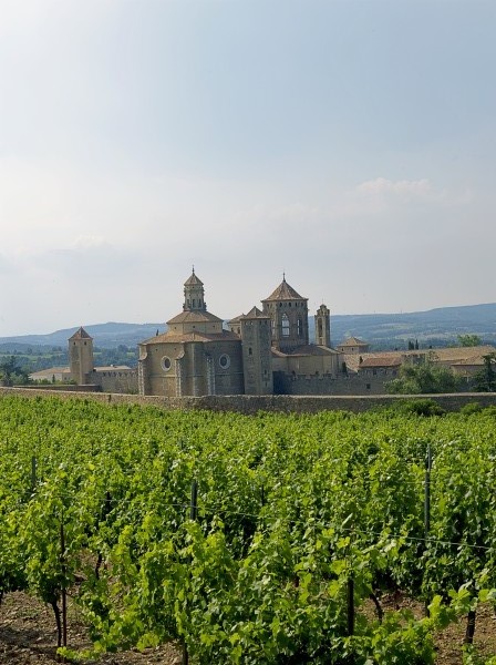 Ens adherim al manifest descobrir per un nou model de turisme al servei del país