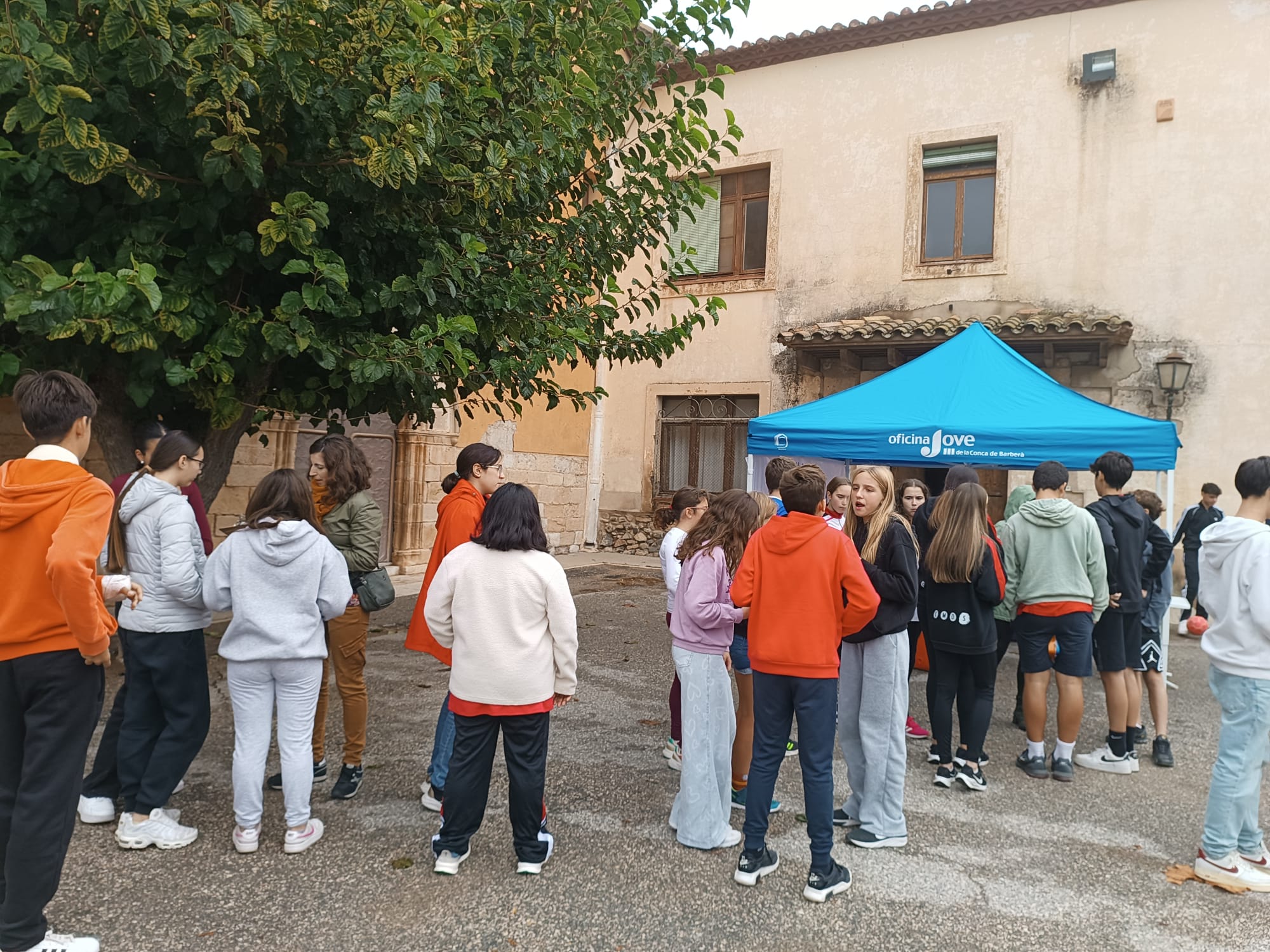 La carpa al pati torna aquest curs amb noves temàtiques i més participació dels instituts de la conca de barberà