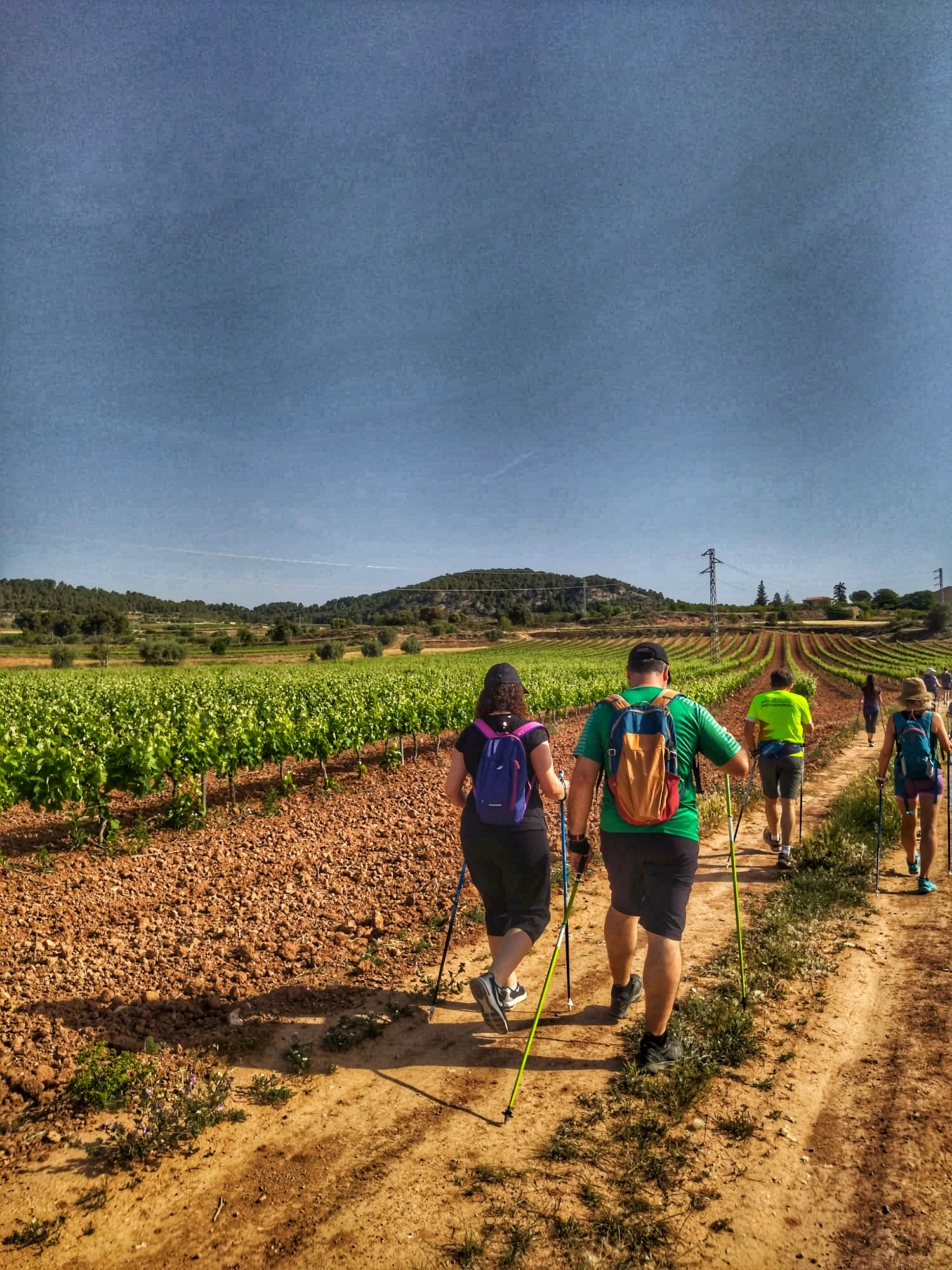 Més d'una trentena de persones han participat en les marxes nòrdiques guiades organitzades pel servei de turisme del consell comarcal