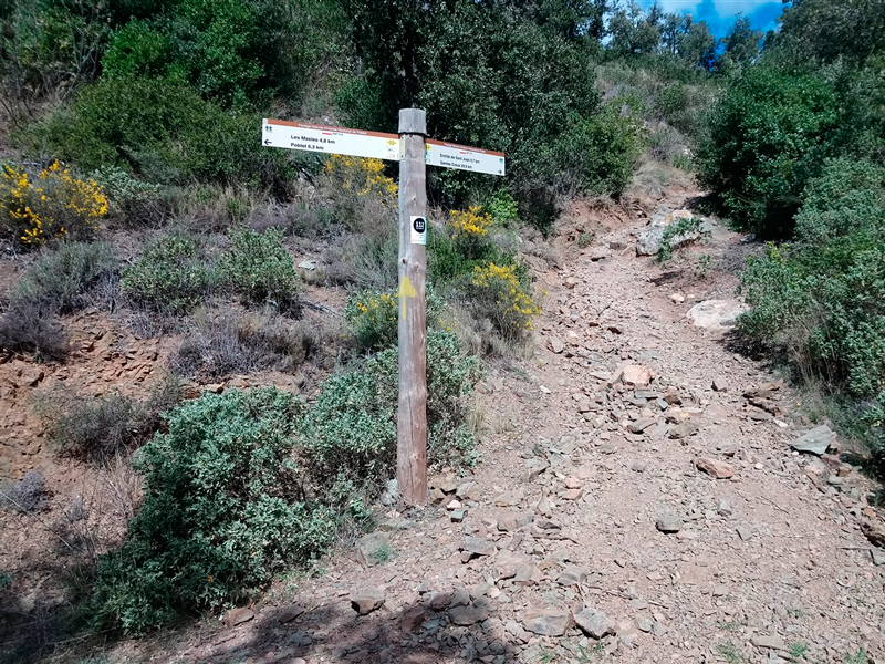 Més seguretat al gr®175, l’itinerari de la ruta del cister a peu i en btt
