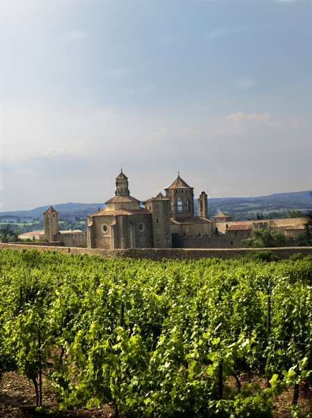 La xarxa de turisme sostenible de la conca de barberà impulsa una jornada de networking per a reativar econòmicament el sector