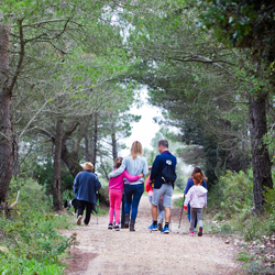 El nombre de visitants de la comarca va créixer un 4% l'any 2018