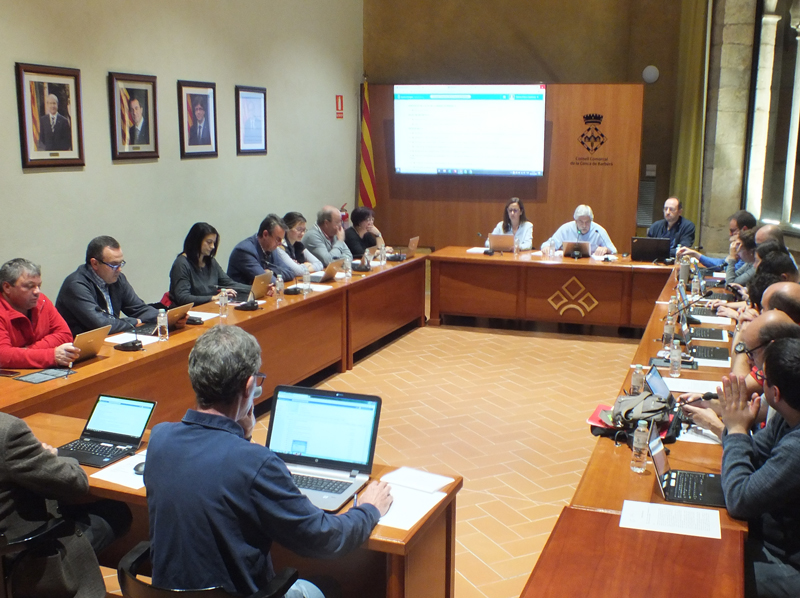 El ple del consell comarcal aprova una moció sobre els efectes de la llevantada