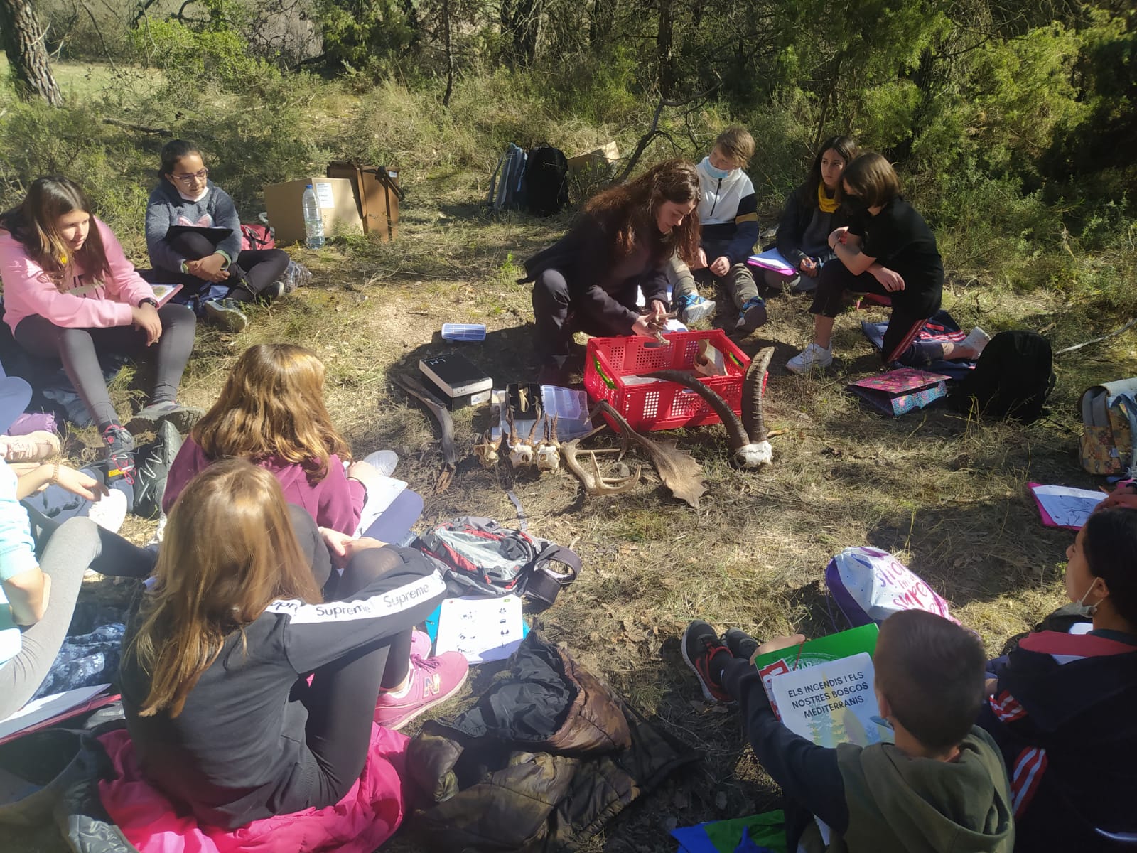 Continuen les activitats del projecte educatiu el bosc i els incendis