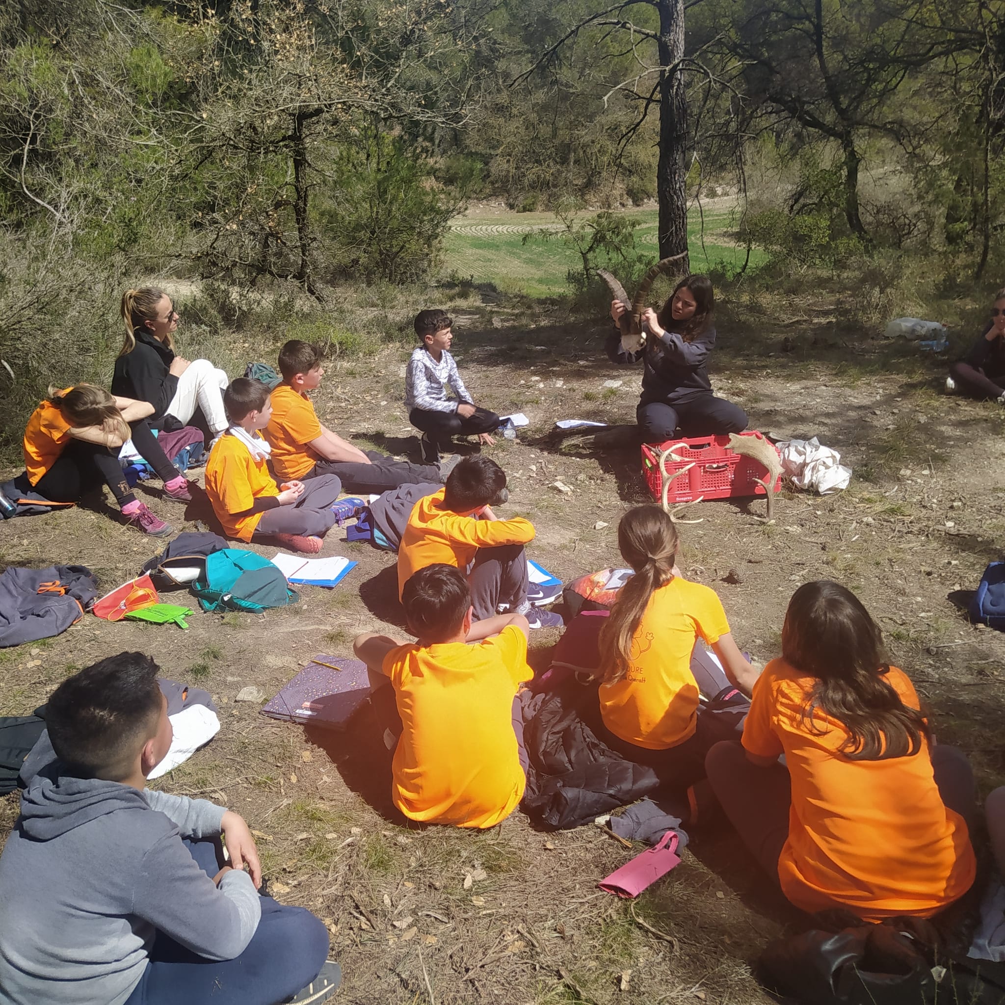 Continuen les activitats del projecte educatiu "el bosc i els incendis"