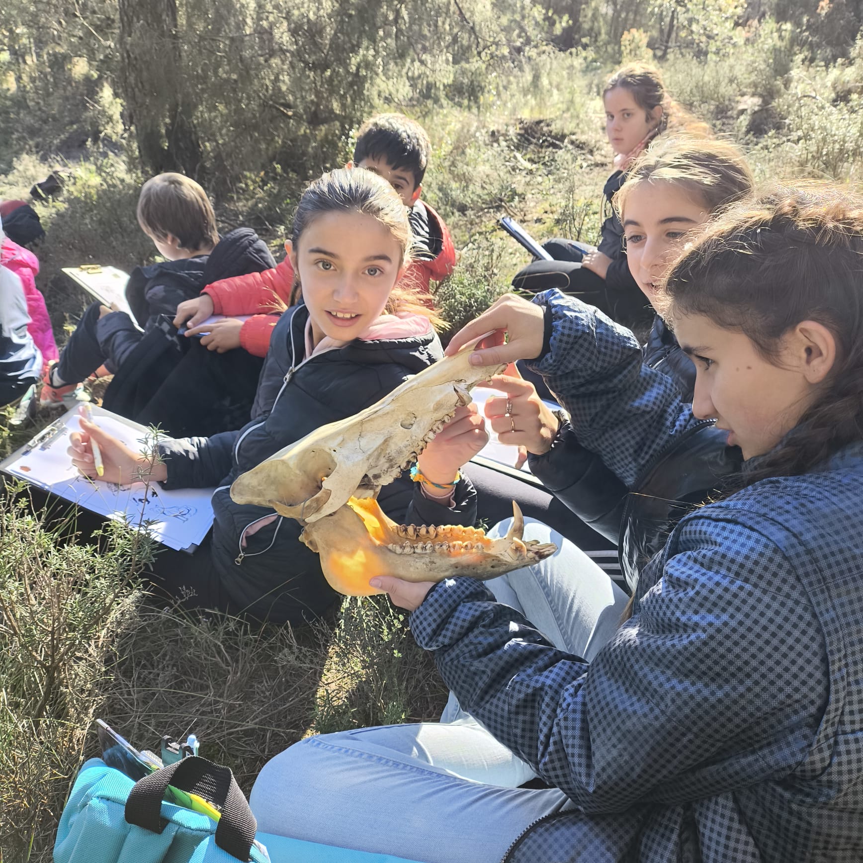 Els alumnes de 6è de l’escola mare de déu de la serra participen en una activitat educativa sobre el bosc i els incendis