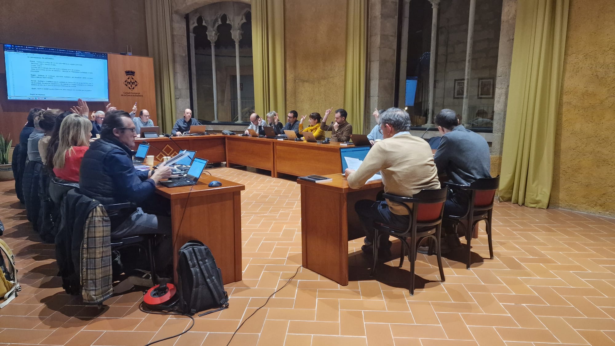 Resum ple ordinari 24 de febrer de 2025