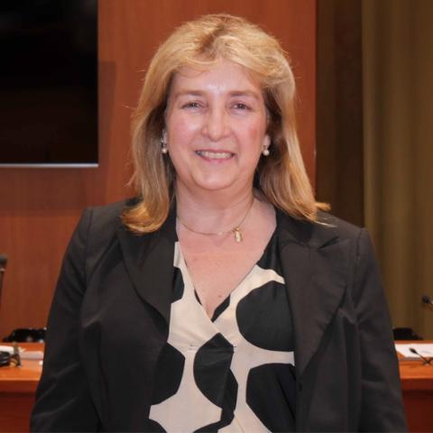 M. Helena Querol Cortés | ERC - AM