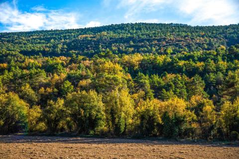Espai natural de les Muntanyes de Prades
