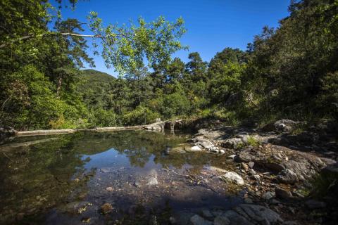 Paratge natural de Poblet